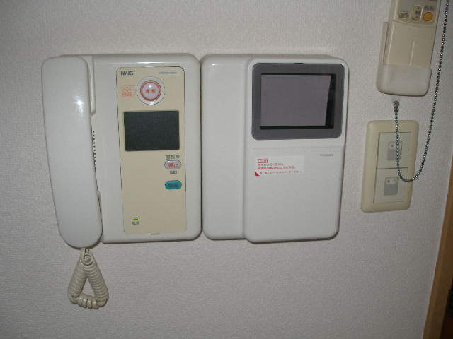 Security. Intercom with TV monitor
