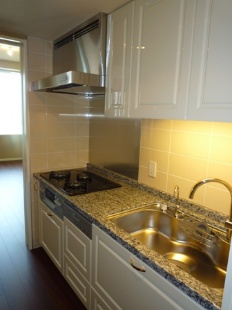 Kitchen. About 3.7 Pledge