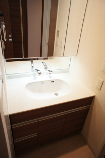 Washroom. Shampoo dresser