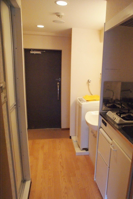 Entrance. Fashionable entrance