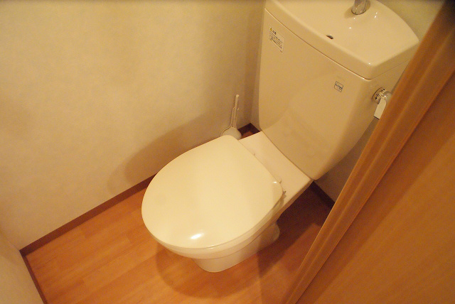 Other. Toilet to settle