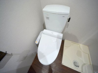 Toilet. Toilet