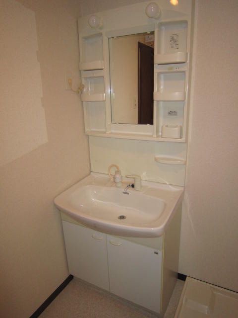 Washroom. Shampoo dresser