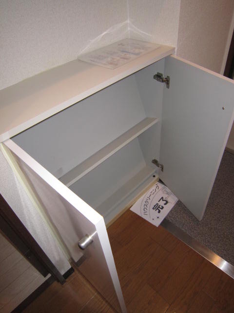 Receipt. Shoes closet