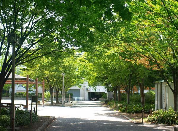 park. Nakatsu to Central Park 361m