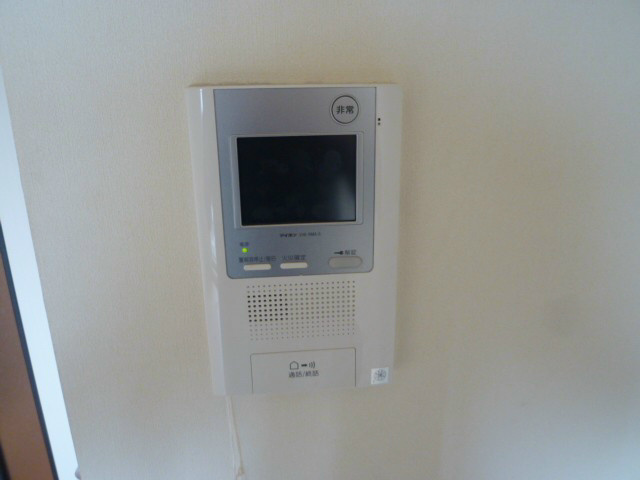 Security. Hands-free phone with a color monitor