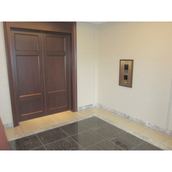 Entrance. Auto-lock of peace of mind