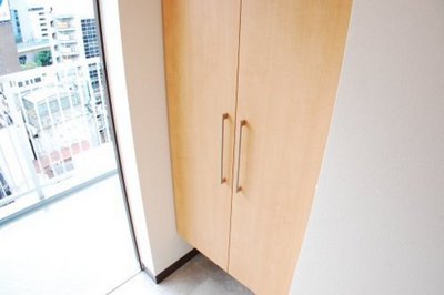 Entrance. Entrance With shoes BOX