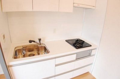 Kitchen. Two-burner gas system Kitchen