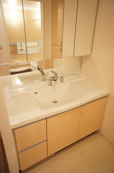 Washroom. Shampoo dresser