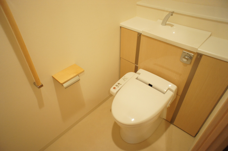 Toilet. Washlet toilet