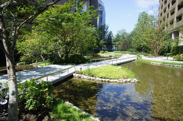 Other. The building site in the common areas
