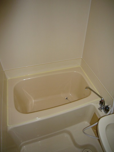Bath. Spacious bathtub with a wash bowl