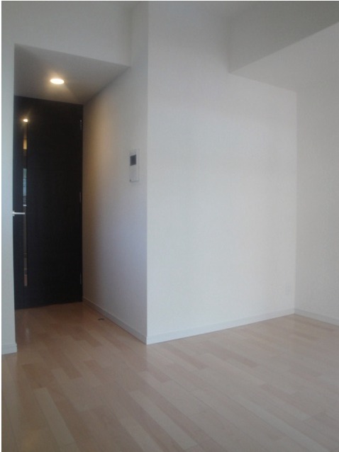 Living and room. Although the north-facing, It is very bright rooms! 