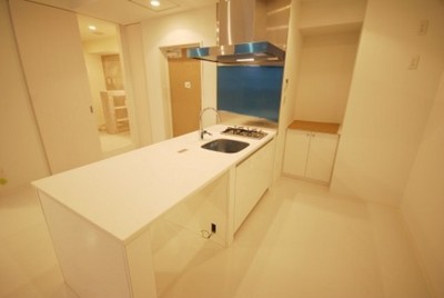 Kitchen. System kitchen