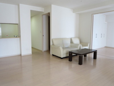 Living and room. Living