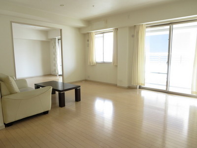 Living and room. Living