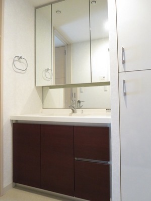 Washroom. Wash basin