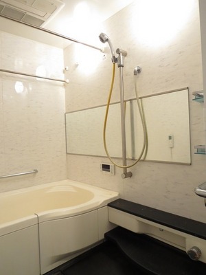 Bath. Bathroom dryer with bathroom