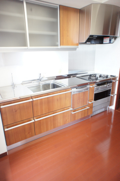 Kitchen. System kitchen