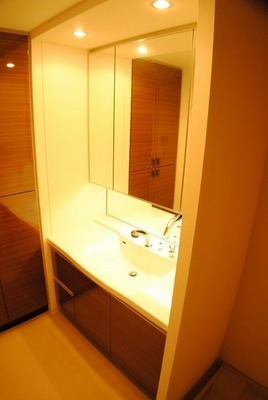 Washroom. Wash basin