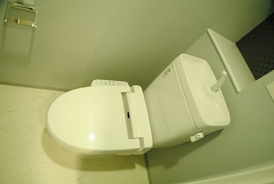Toilet. Bidet