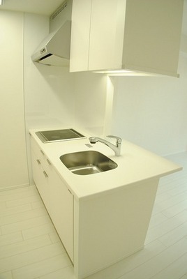 Kitchen. IH system kitchen