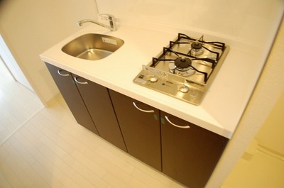 Kitchen. System kitchen