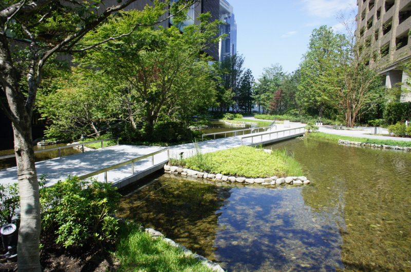 Other. Building site