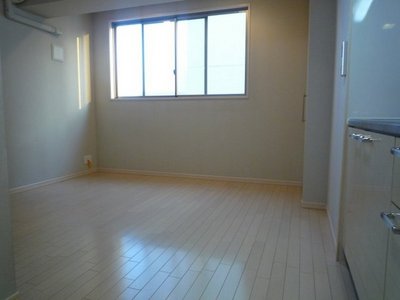 Living and room. Spread of dining kitchen