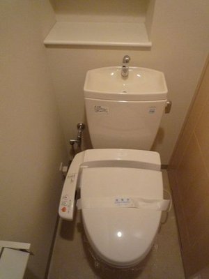 Toilet. There and glad Washlet