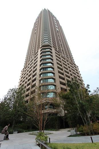 Local appearance photo. 2013 November shooting