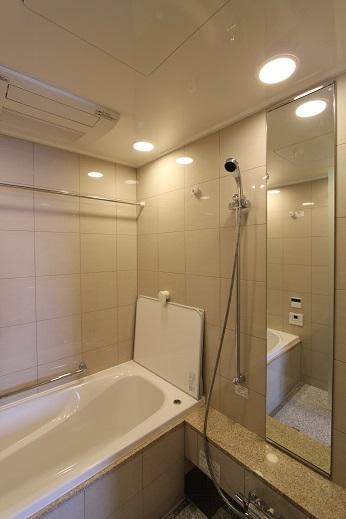 Bathroom. 2013 November shooting