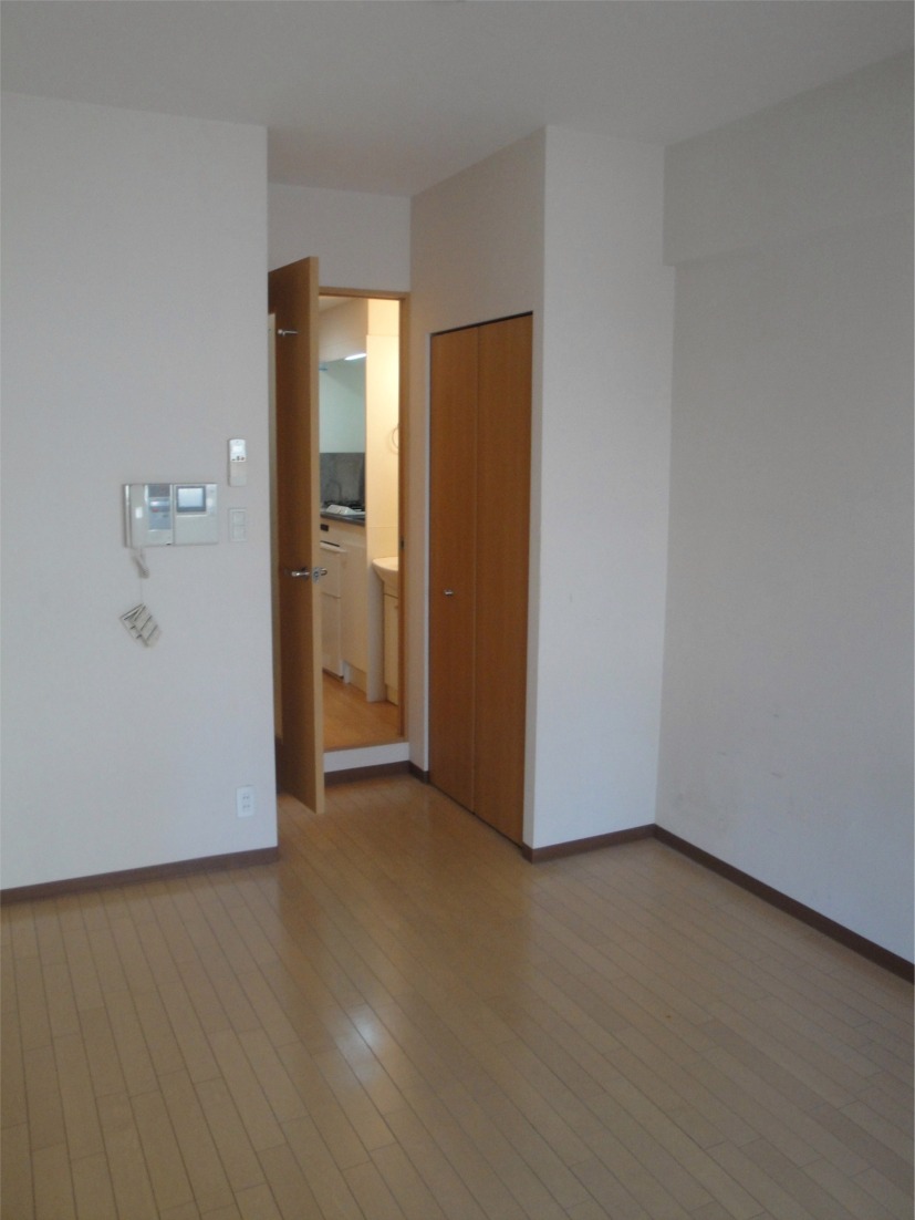 Living and room. This room with cleanliness! 