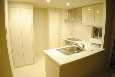 Kitchen. Counter Kitchen disposer Gas stove 3-neck Dishwasher