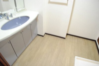 Washroom. Wash basin