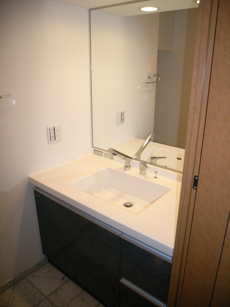 Washroom. Large is a wash basin!