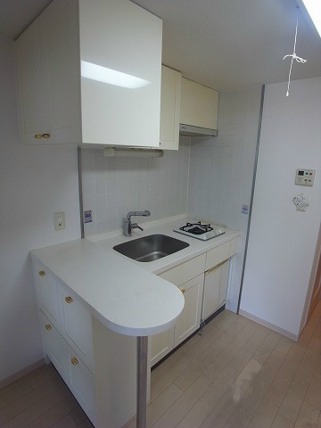 Kitchen. Convenient counter kitchen. 