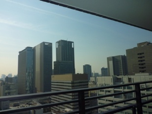 View. View from the balcony