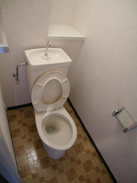 Toilet