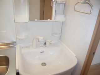 Washroom. Shampoo dresser