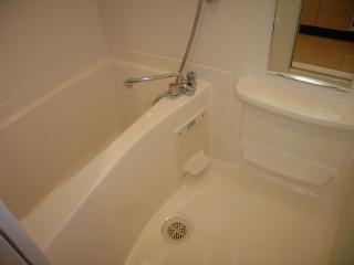 Bath. It is with the bathroom dryer