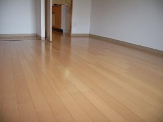 Living and room. Western-style (2)