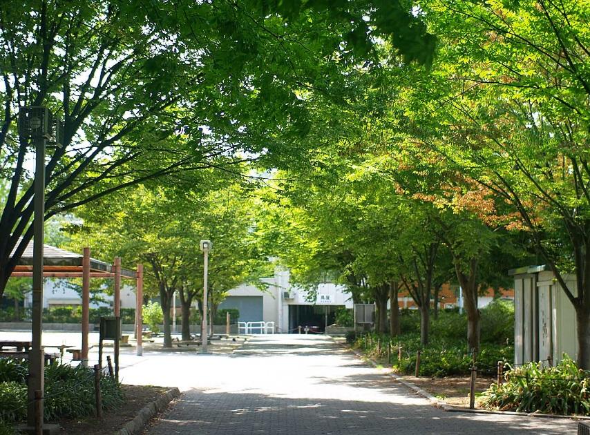 park. Walk up to 830m Nakatsu park until Nakatsu park 11 minutes