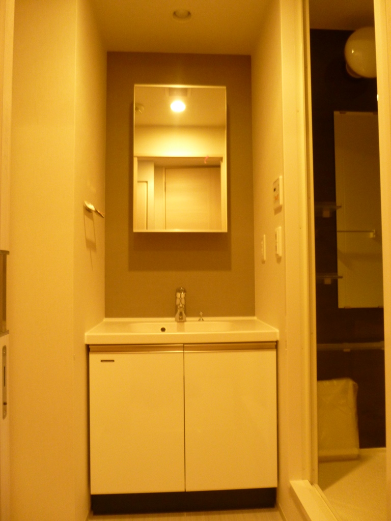 Washroom. With storage Shampoo dresser! 