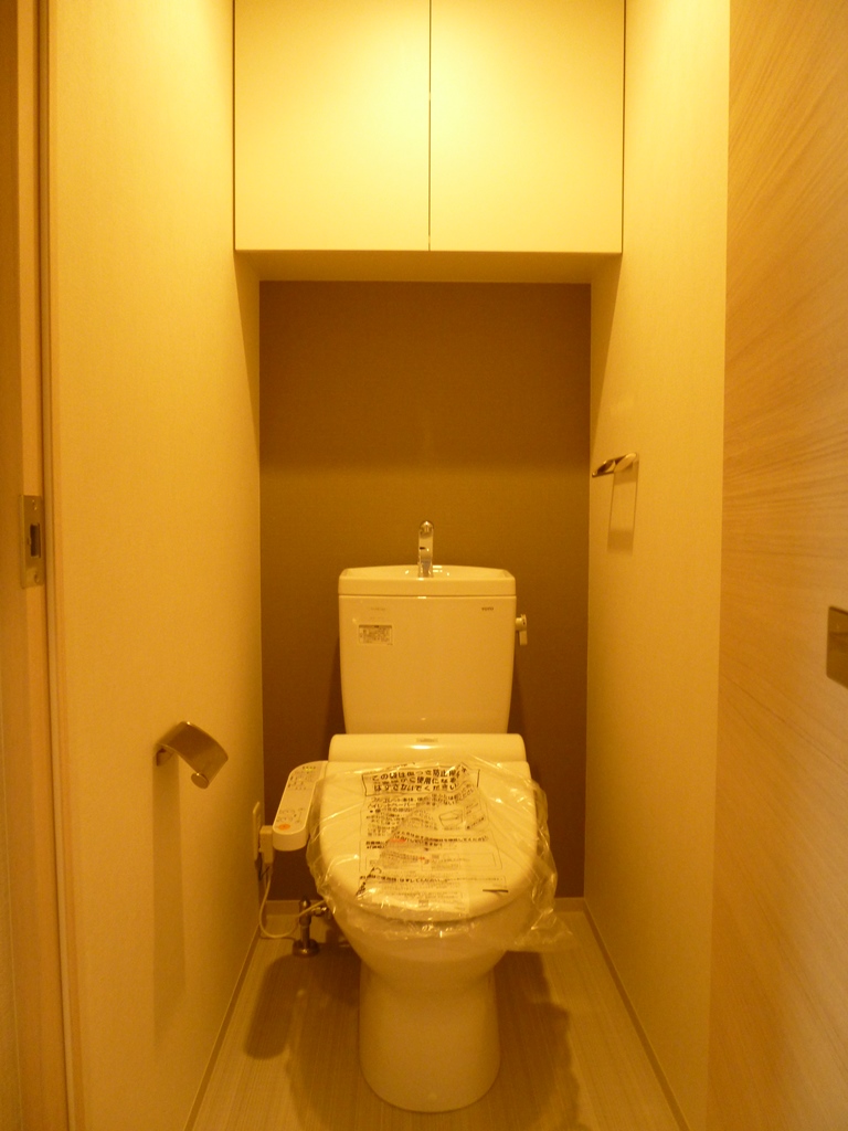 Toilet. Shelf with a bidet toilet! 