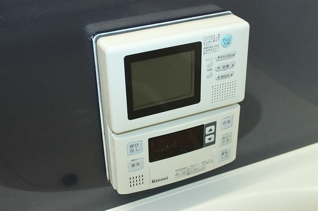 Other Equipment. Bathroom TV