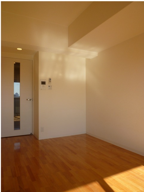 Living and room. Light Brown of sound insulation flooring!