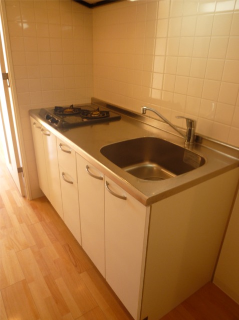 Kitchen. Than enough degree of system kitchen in the living alone!