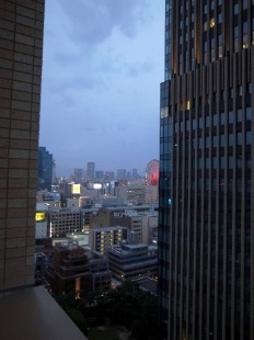 View. The south side of the scenery as seen from the room